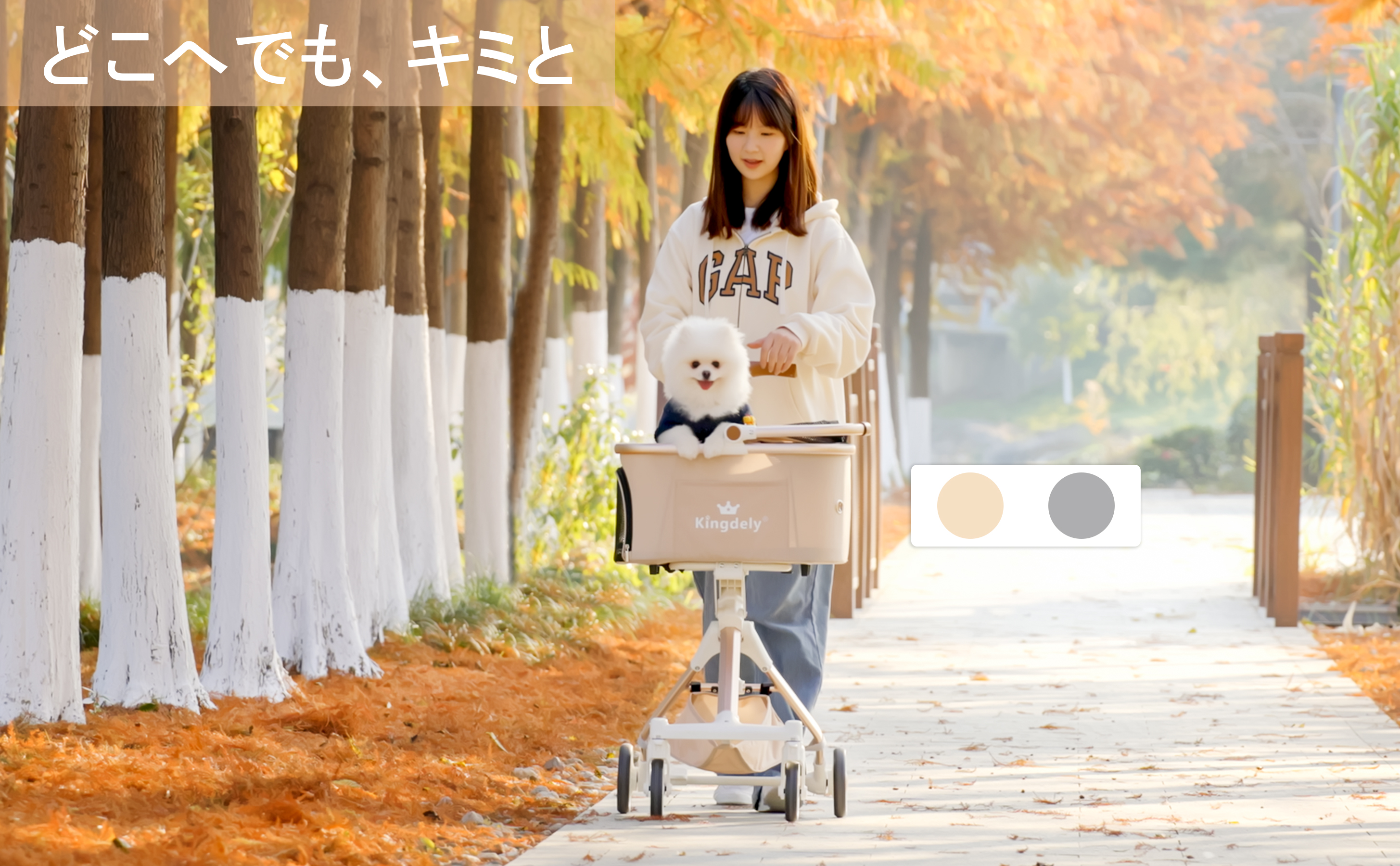 Amazon.co.jp: Kingdely ペットカート 犬 カート 小型犬 軽量